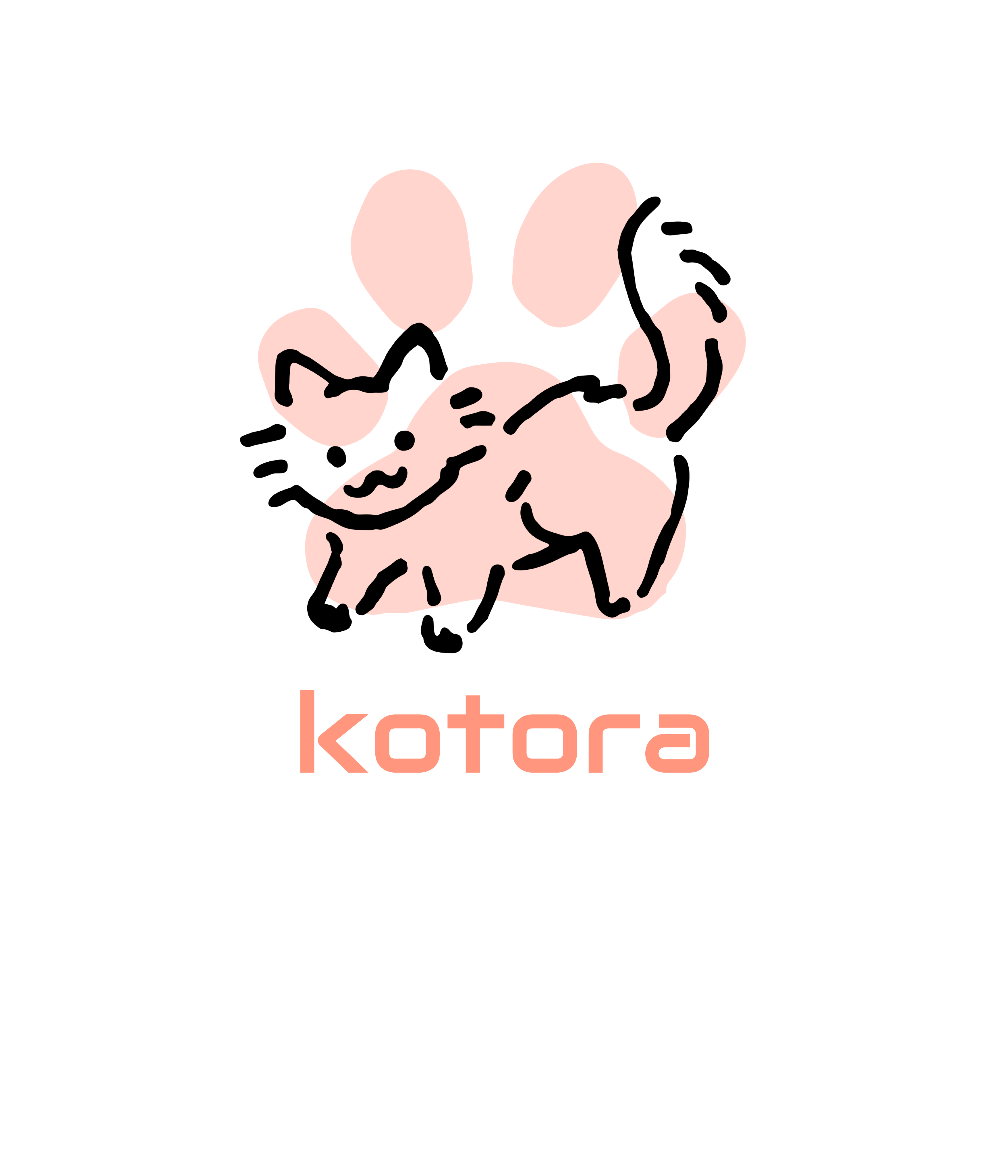 &nbsp;kotora小脑斧