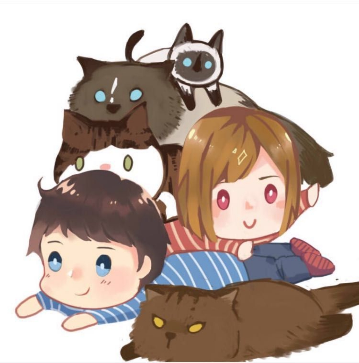 米布猫