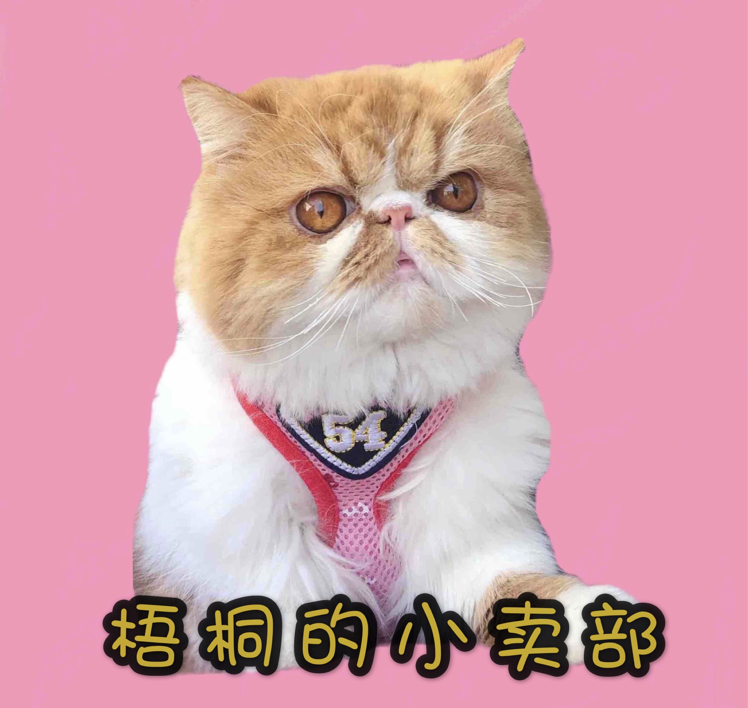梧桐的小卖部