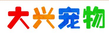 大兴宠物