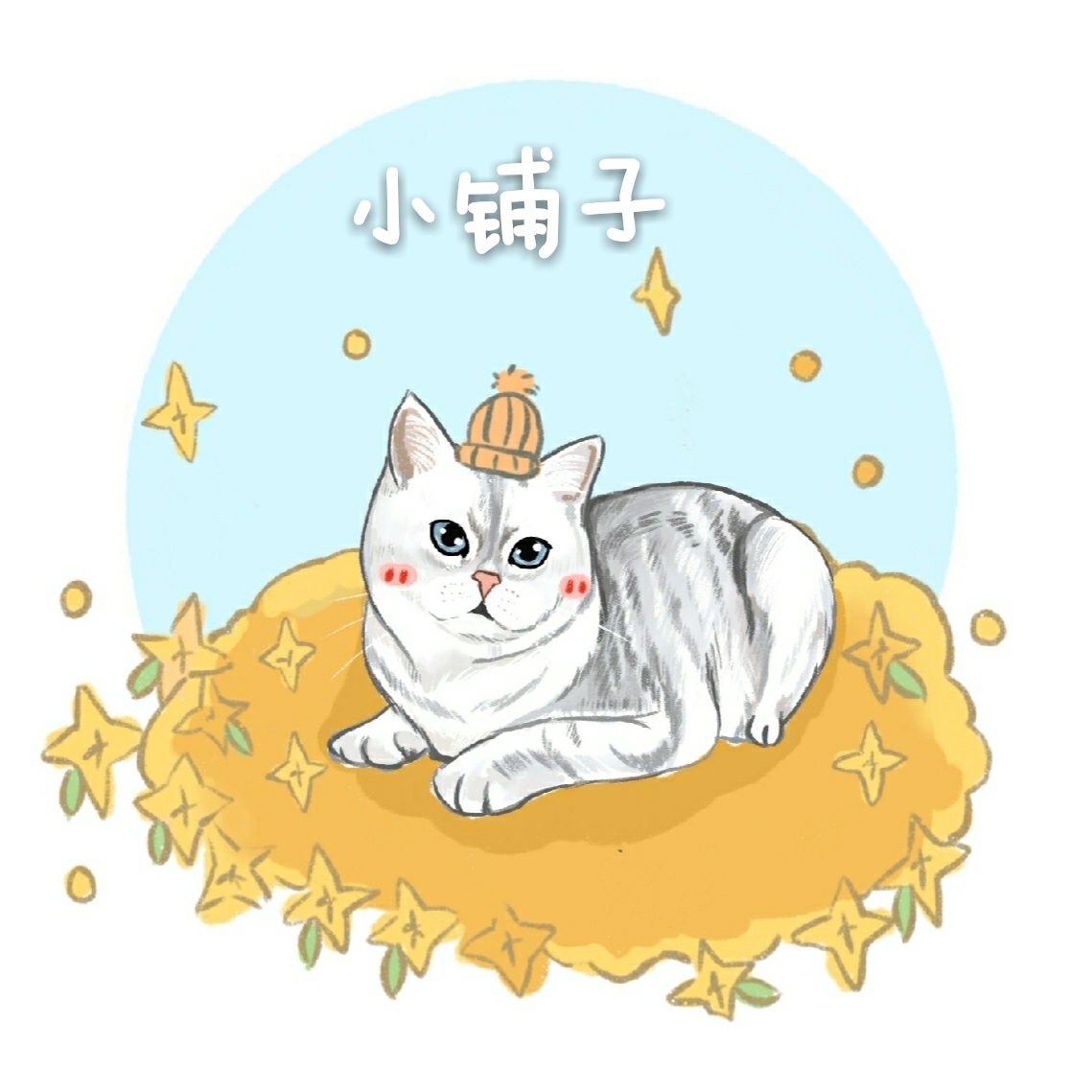 猫屋小铺子