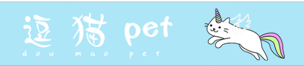 逗猫pet