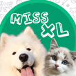 Miss XL生产队