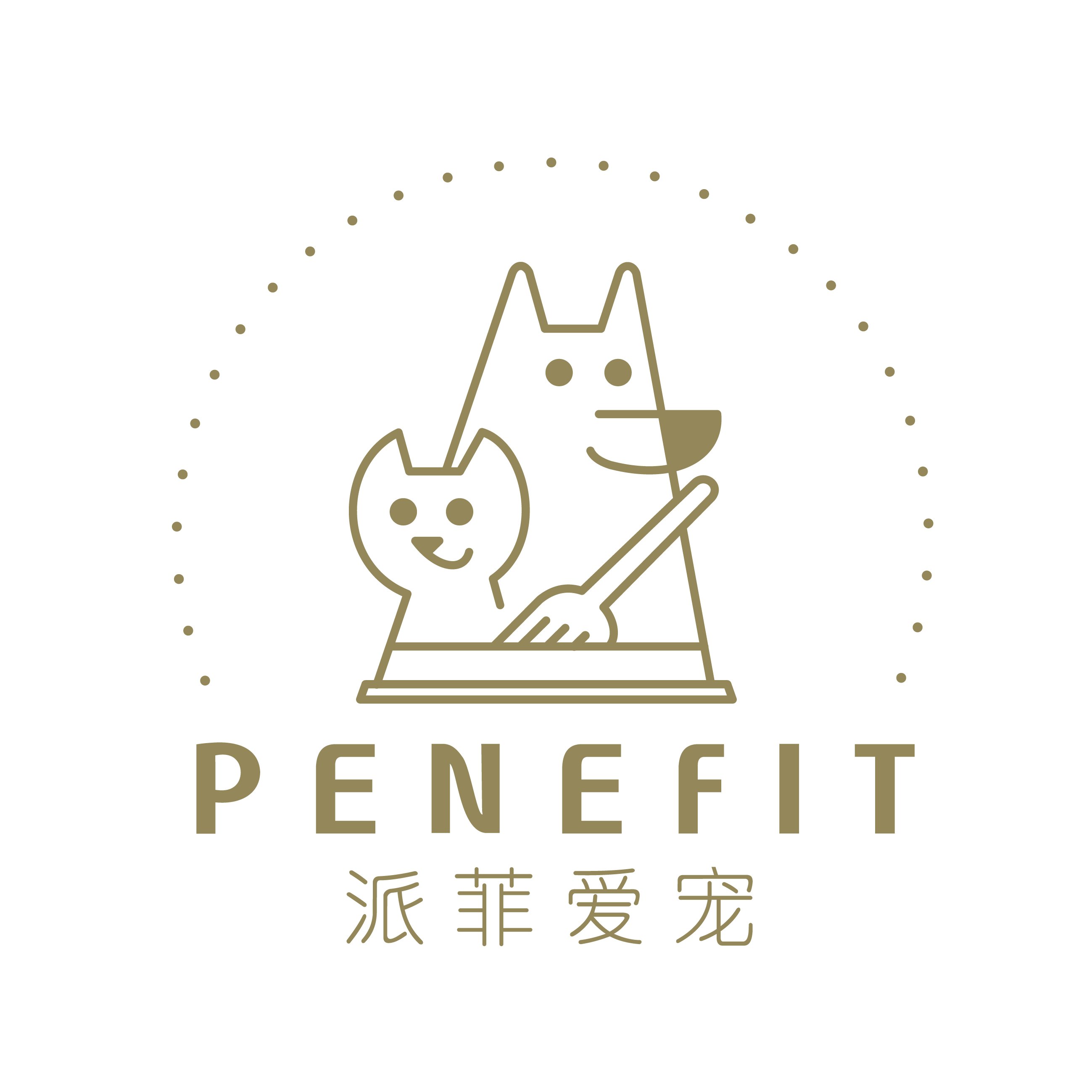猫公子的六只猫